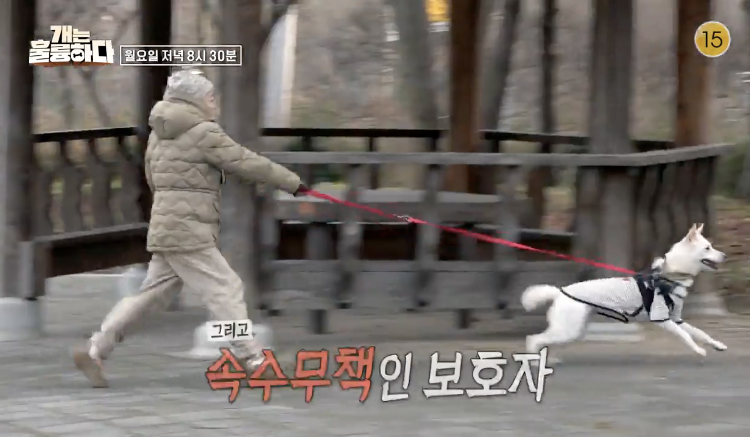 개는 훌륭하다 캡처