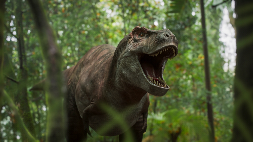  EBS특집다큐 '공룡 대탐험 : 1억 6천만 년의 모험'