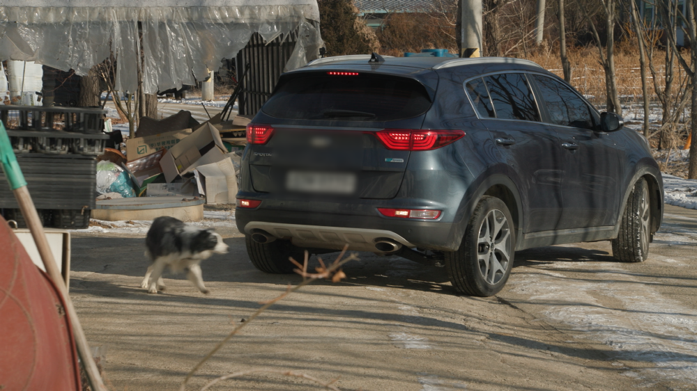 세상에 나쁜 개는 없다