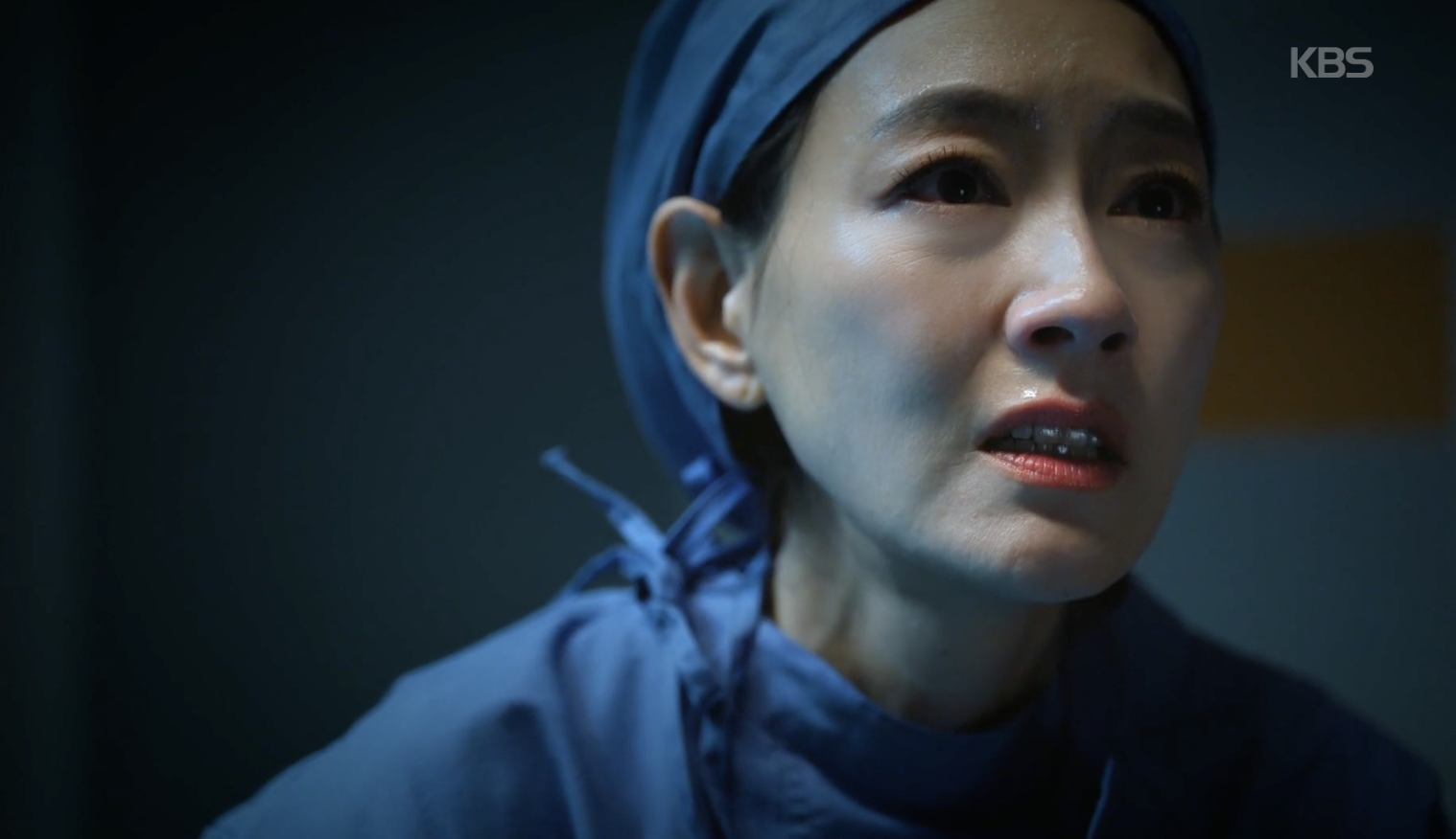 붉은 진주 캡처