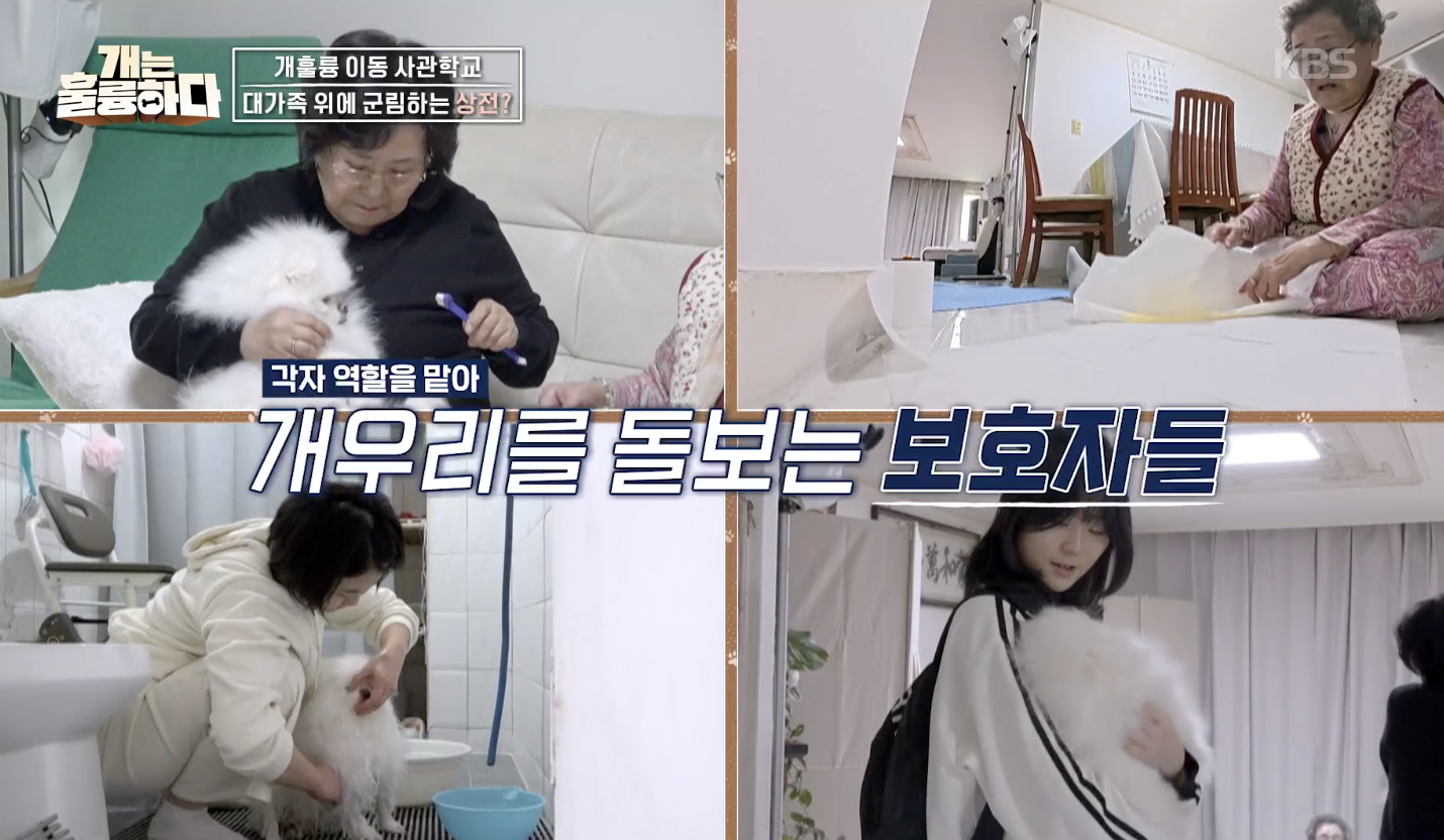 개는 훌륭하다 캡처