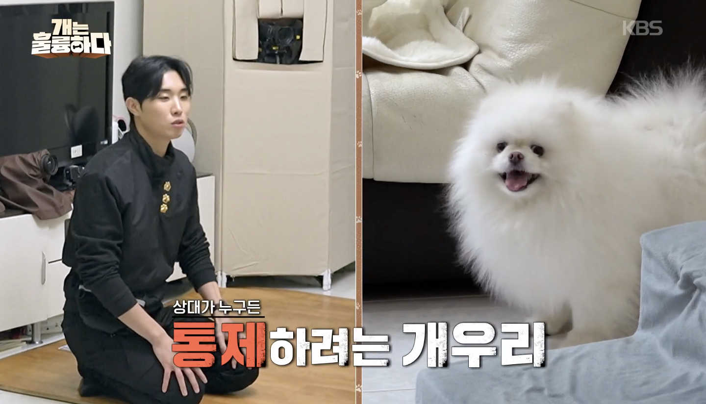 개는 훌륭하다 캡처