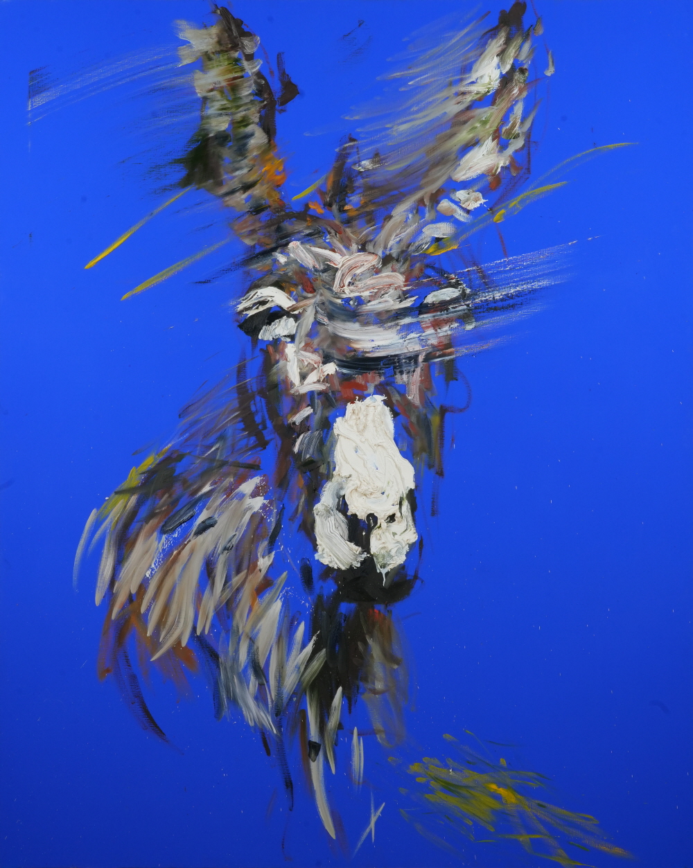  '박신양의 전시쑈: 제4의 벽'