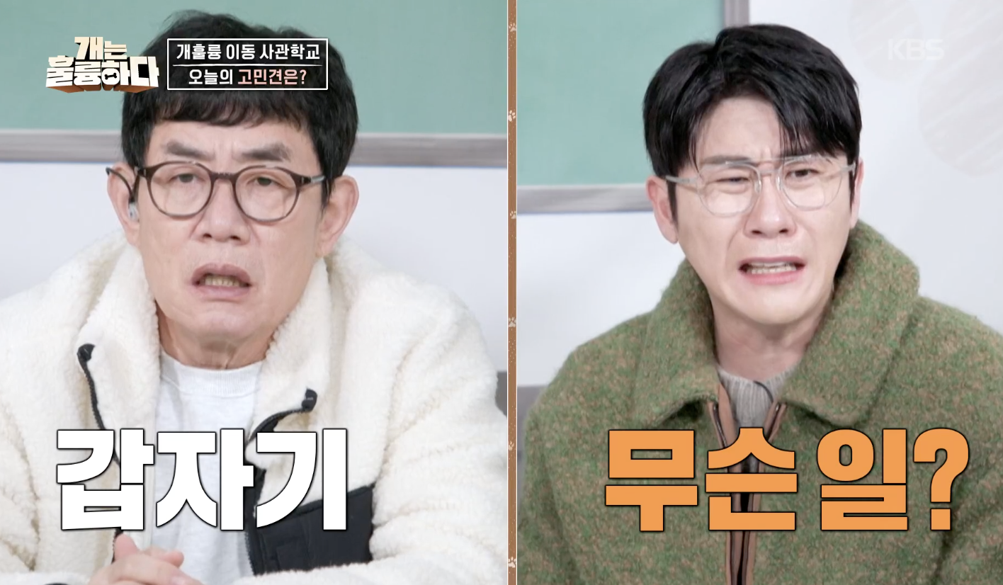 개는 훌륭하다 캡처