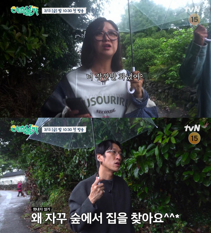  tvN ‘예측불가[家]’