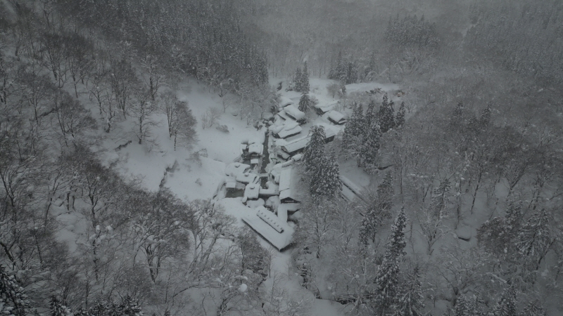 걸어서 세계속으로