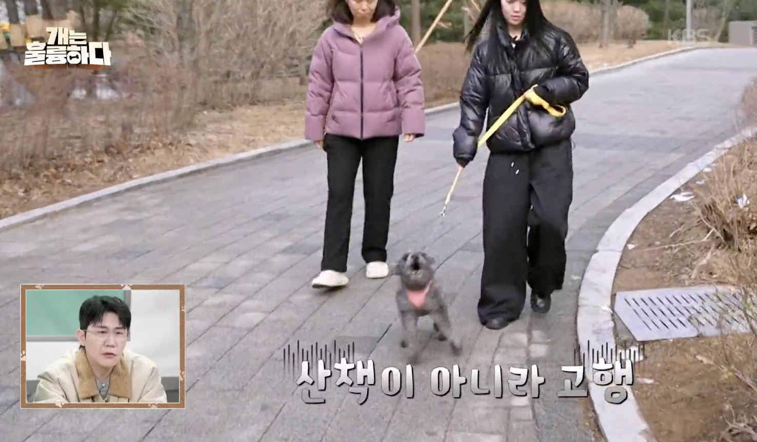 개는 훌륭하다 캡처