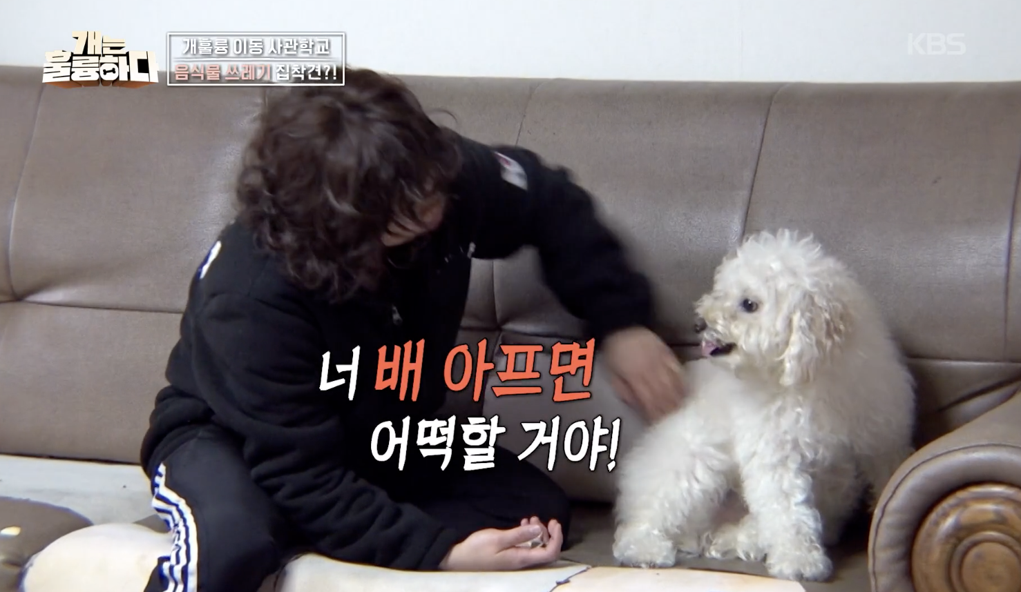 개는 훌륭하다 캡처