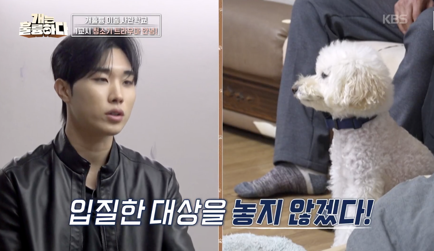 개는 훌륭하다 캡처