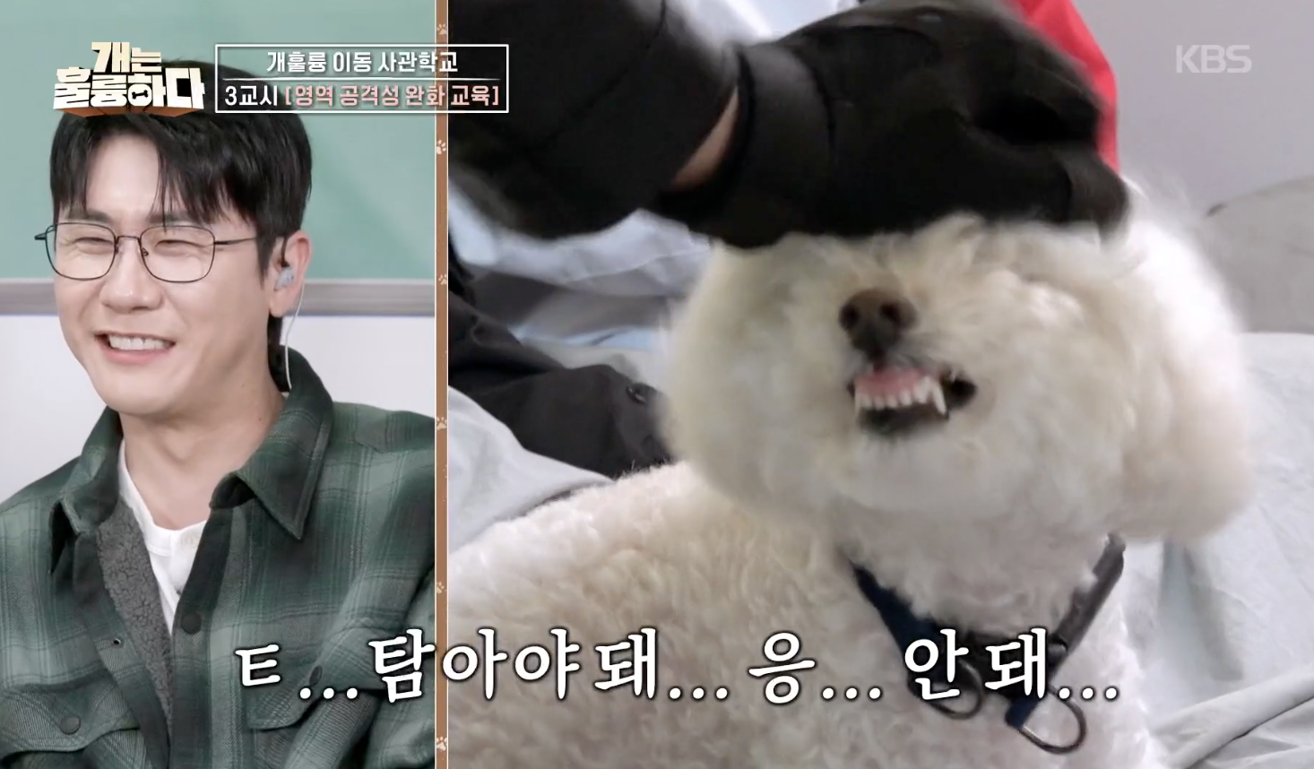 개는 훌륭하다 캡처