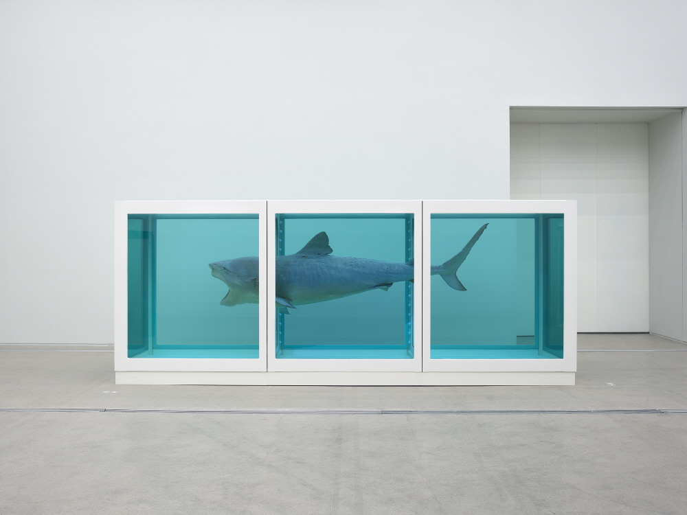 데이미언 허스트 © 2026 Damien Hirst and Science Ltd. All rights reserved, DACS