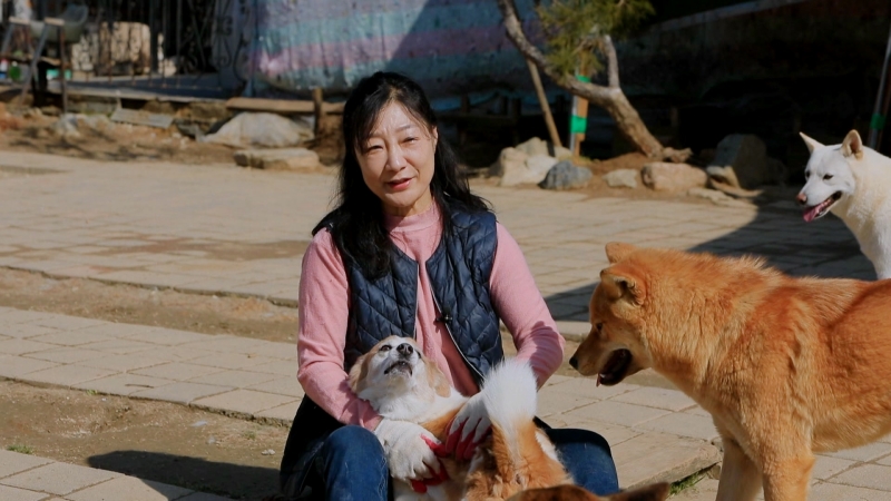 세상에 나쁜 개는 없다