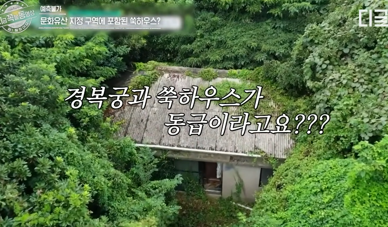 tvN ‘예측불가[家]’