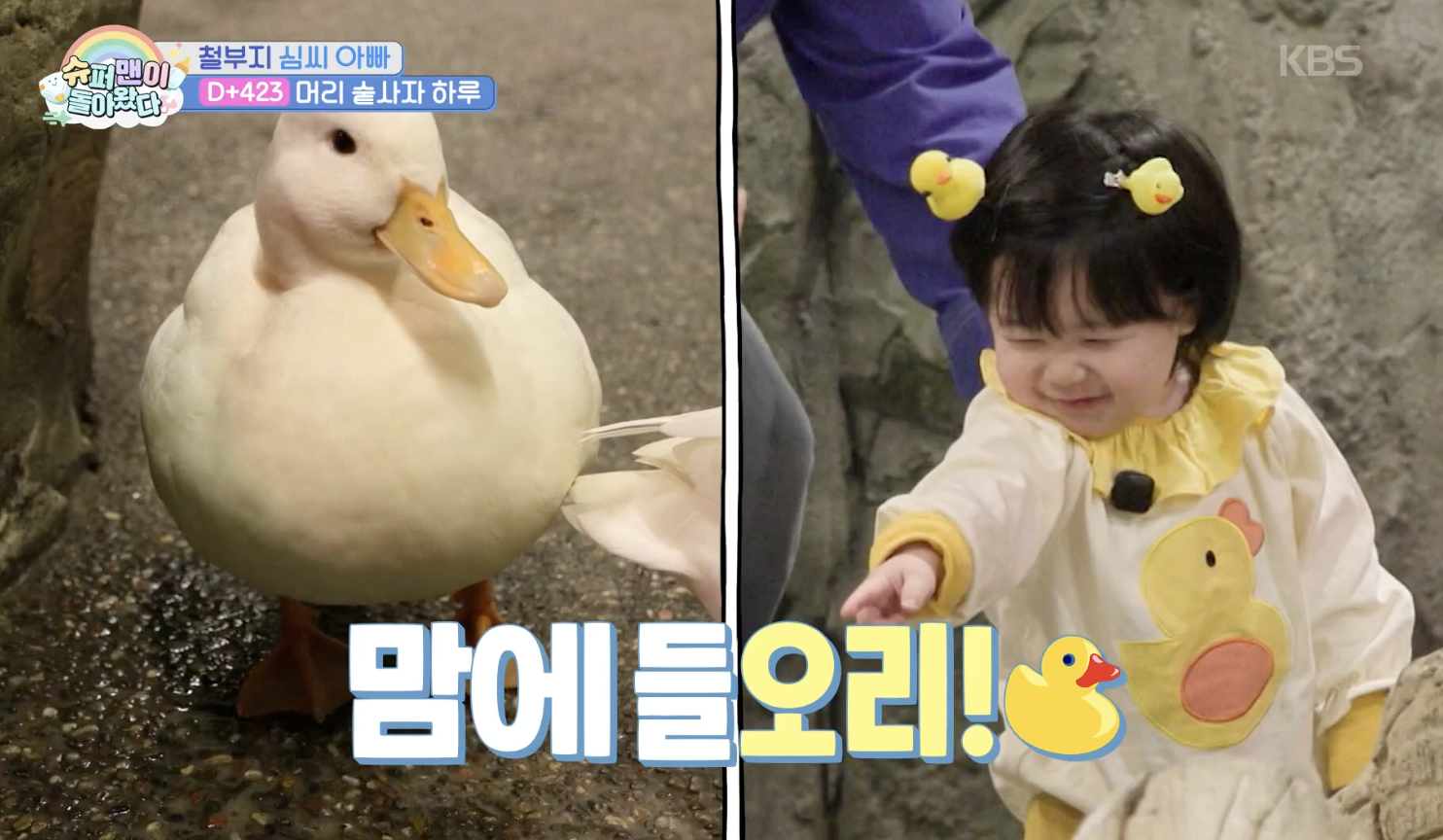 슈퍼맨이 돌아왔다 캡처