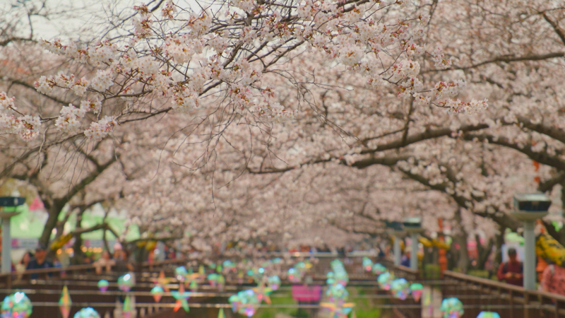 다큐멘터리 3일