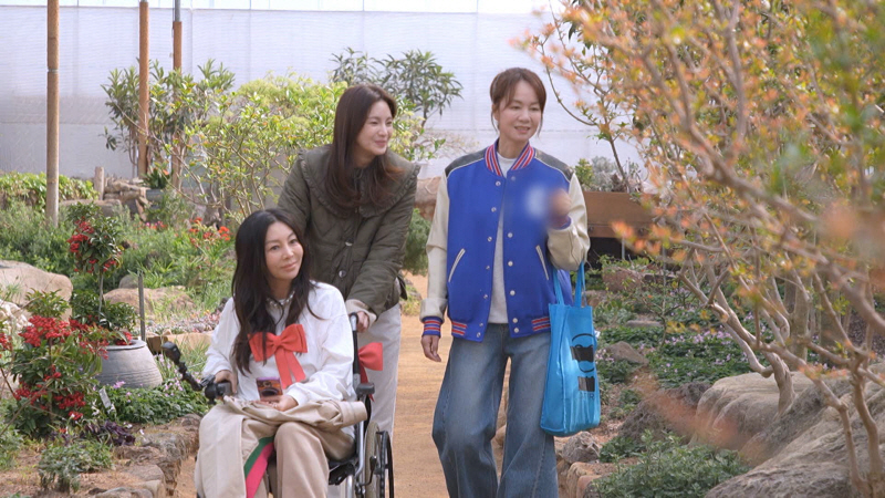 황신혜의 같이 삽시다