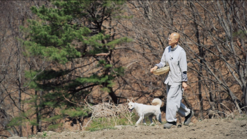 세상에 나쁜 개는 없다