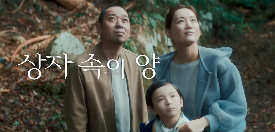 상자 속의 양