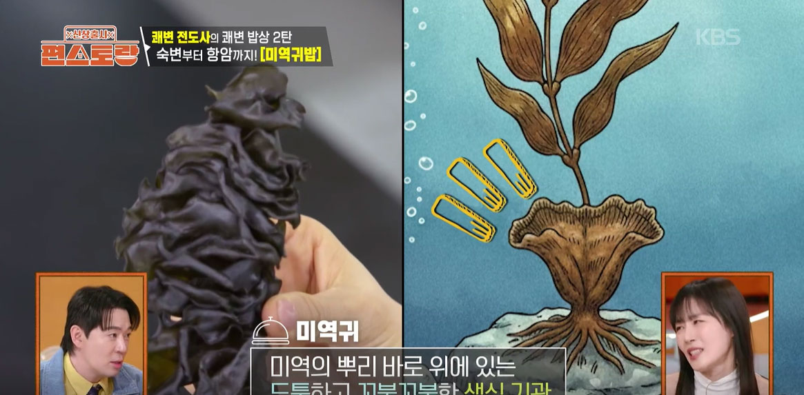 신상