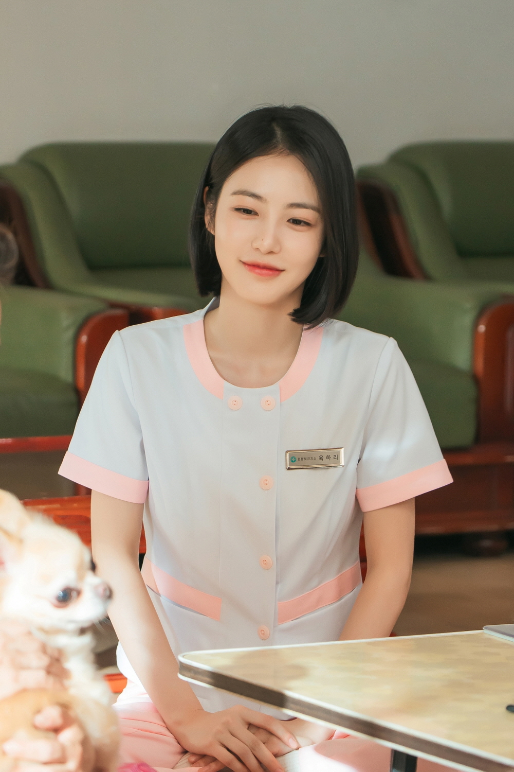 ENA 새 월화드라마 ‘닥터 섬보이’
