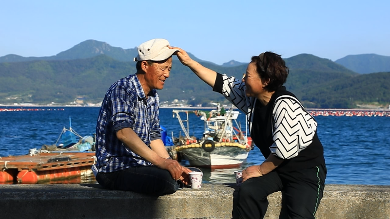 EBS 한국기행
