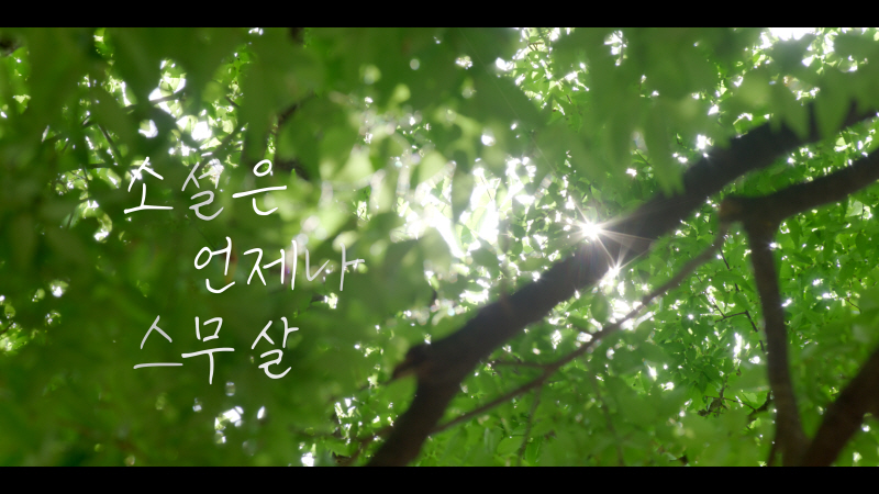 KBS 1TV '다큐 인사이트'
