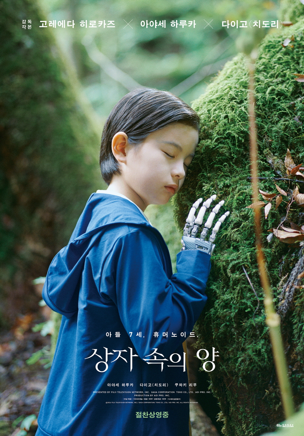 상자 속의 양