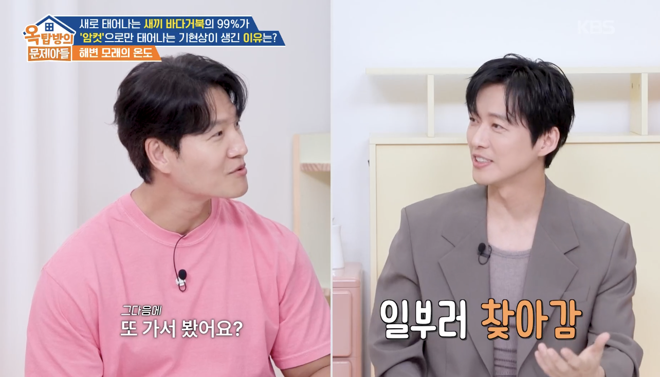 옥탑방의 문제아들 캡처