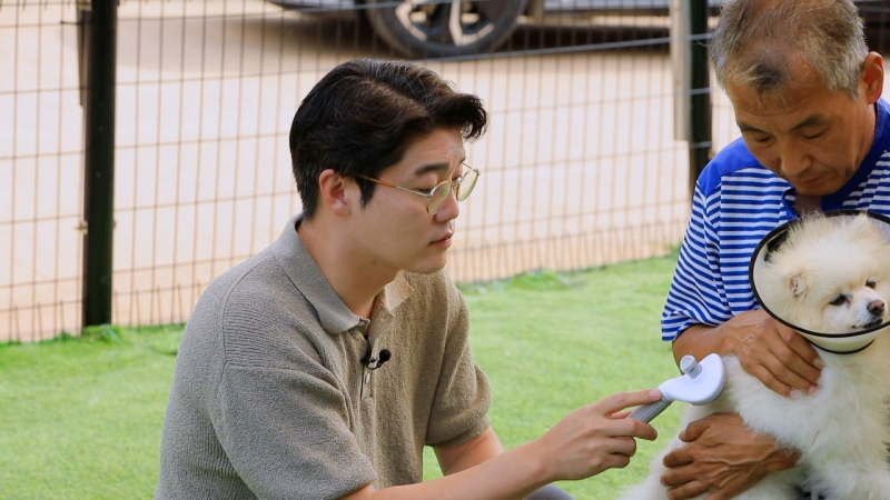 EBS1 <세상에 나쁜 개는 없다>