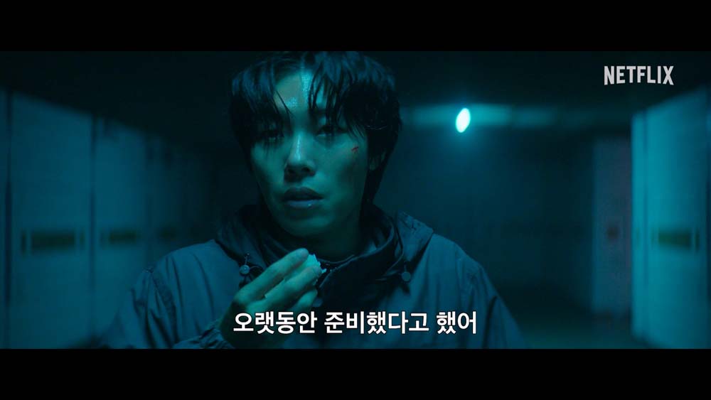 들쥐