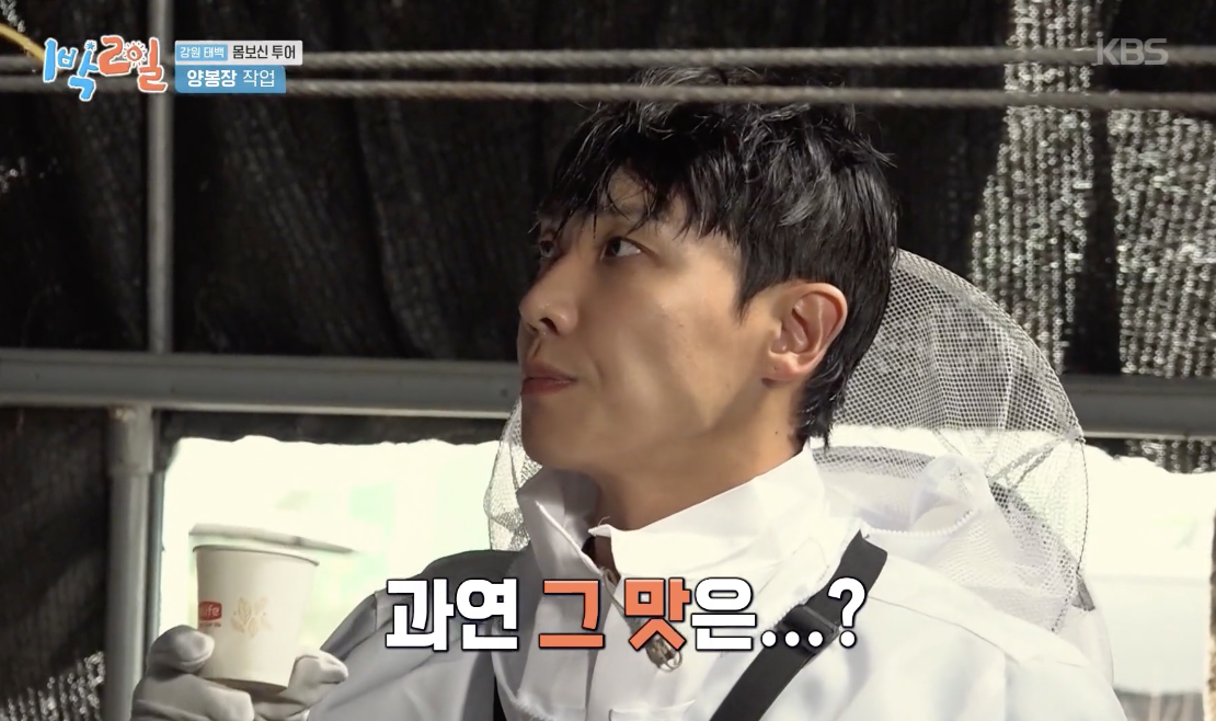 1박 2일 캡처