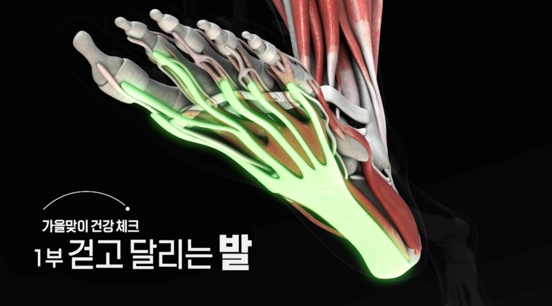 KBS 1TV <생로병사의 비밀>