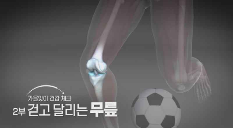  KBS 1TV <생로병사의 비밀>