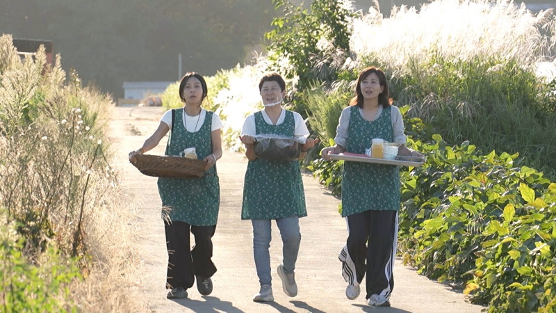 황신혜의 같이 삽시다