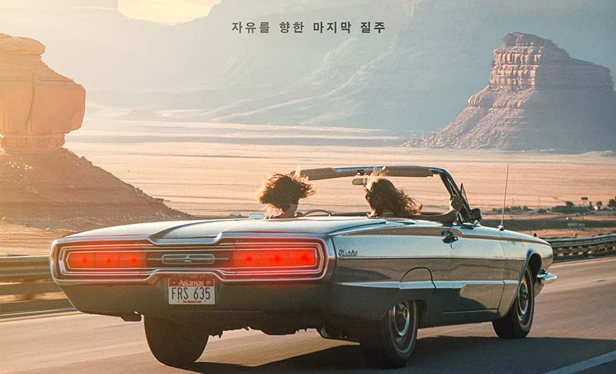 대체 텍스트