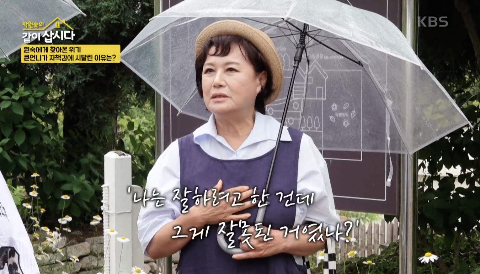 대체 텍스트