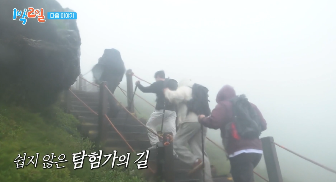 대체 텍스트