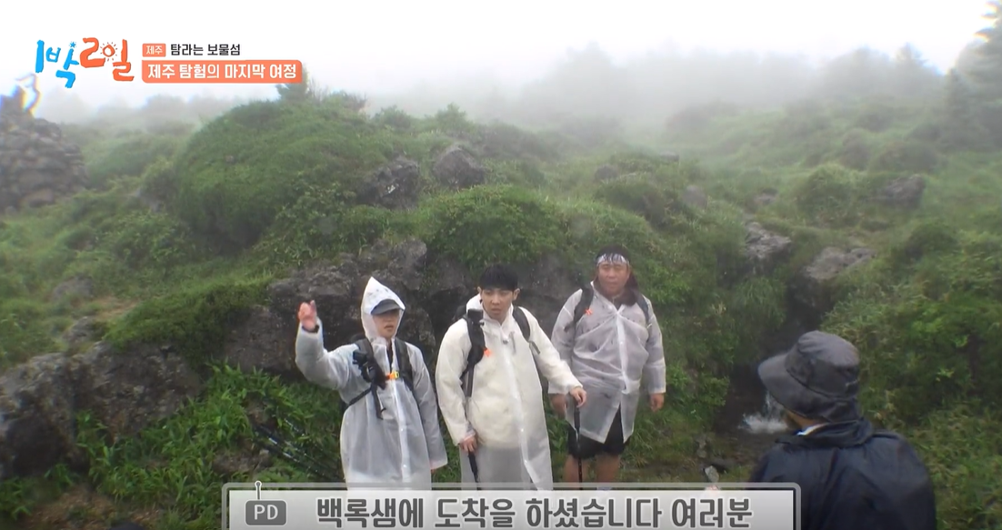 대체 텍스트