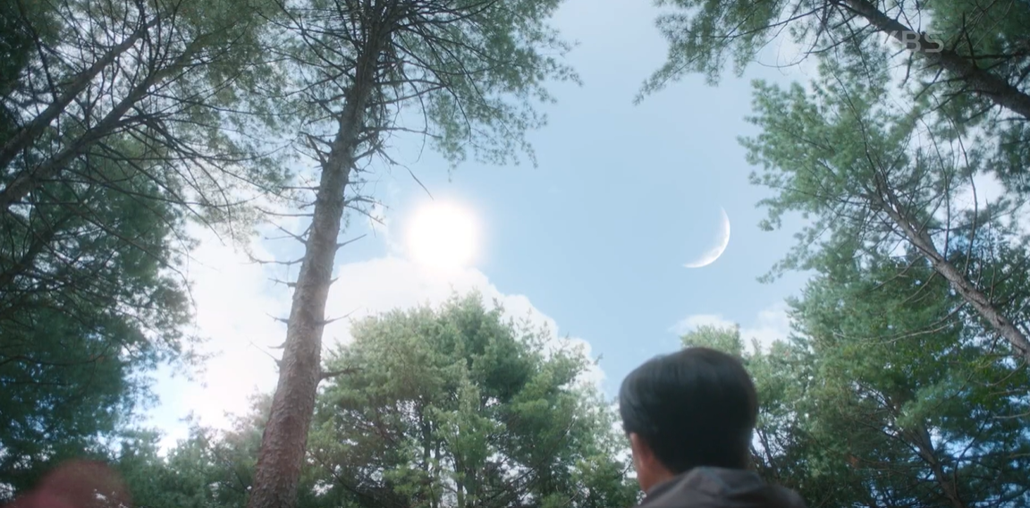 대체 텍스트