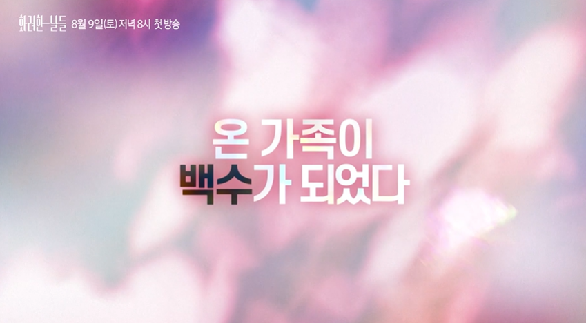 대체 텍스트