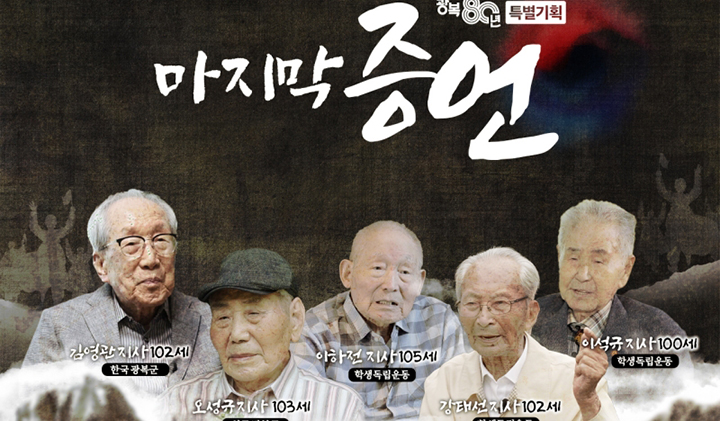 대체 텍스트