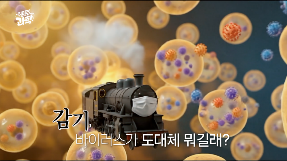 대체 텍스트