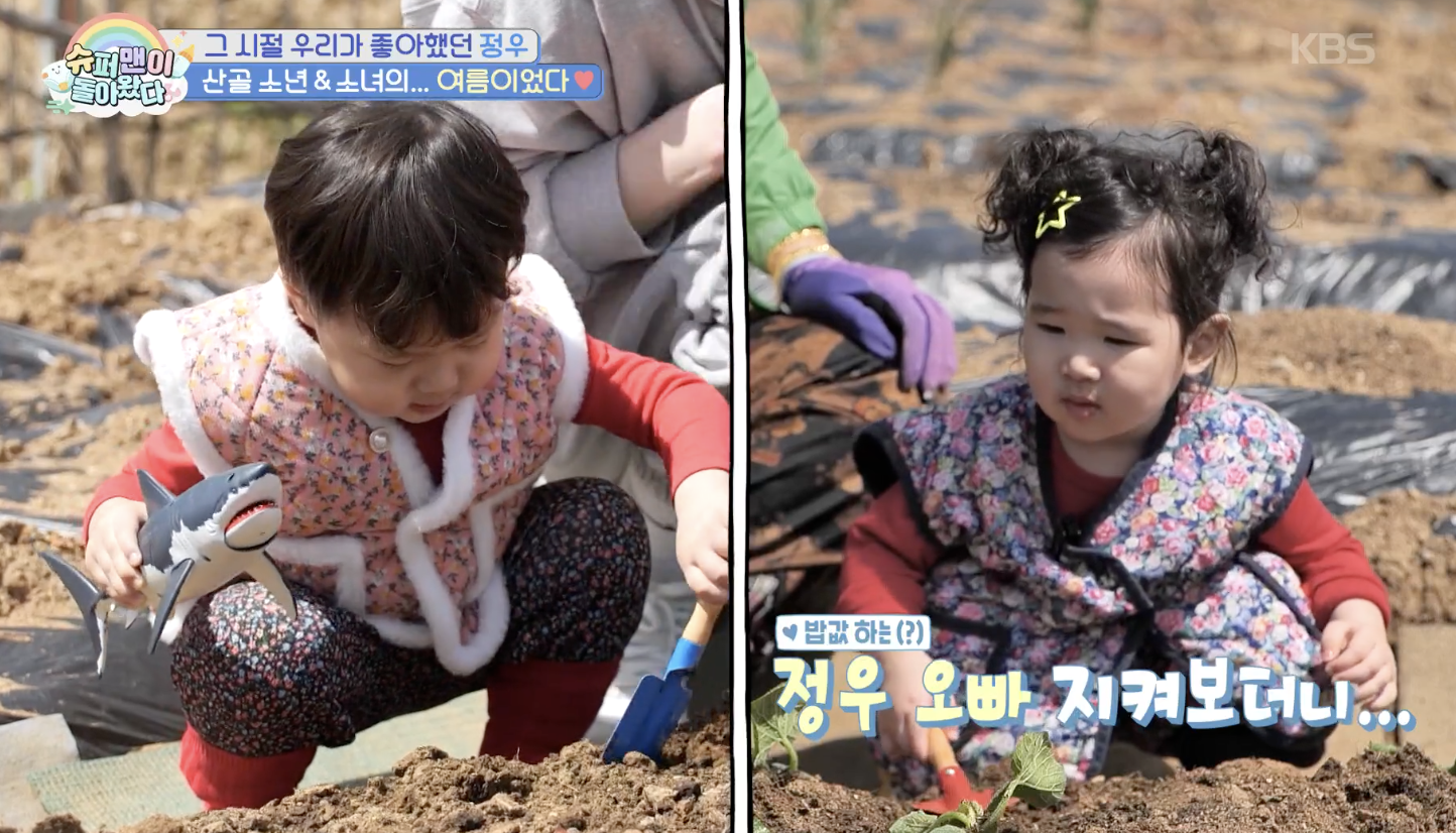대체 텍스트