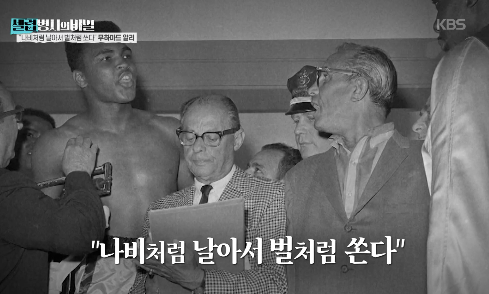 대체 텍스트