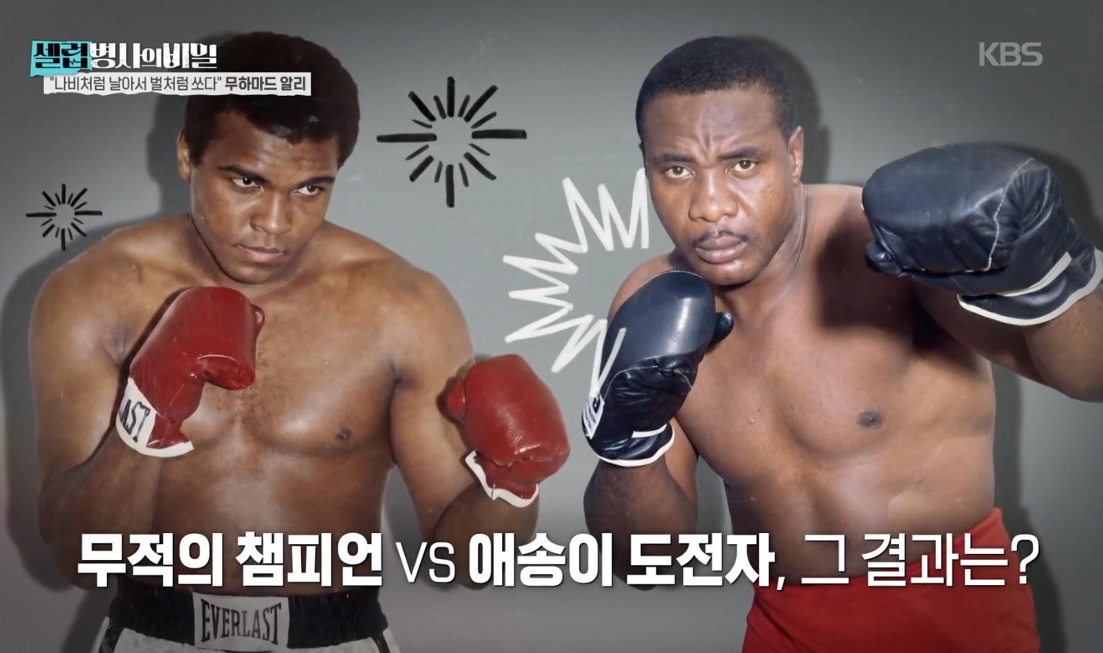 대체 텍스트