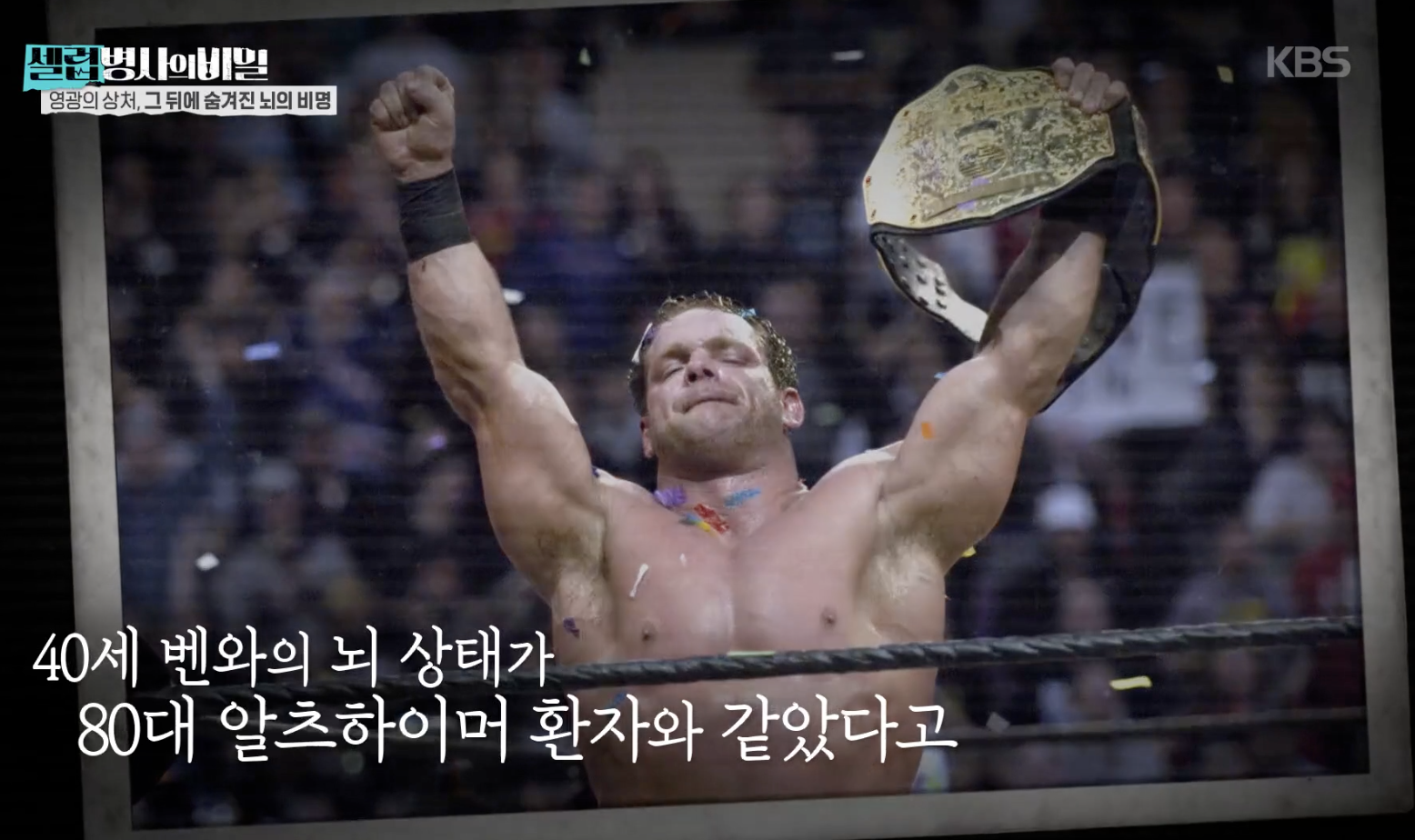 대체 텍스트