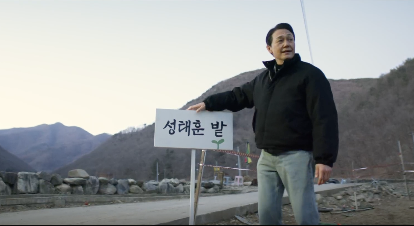 대체 텍스트