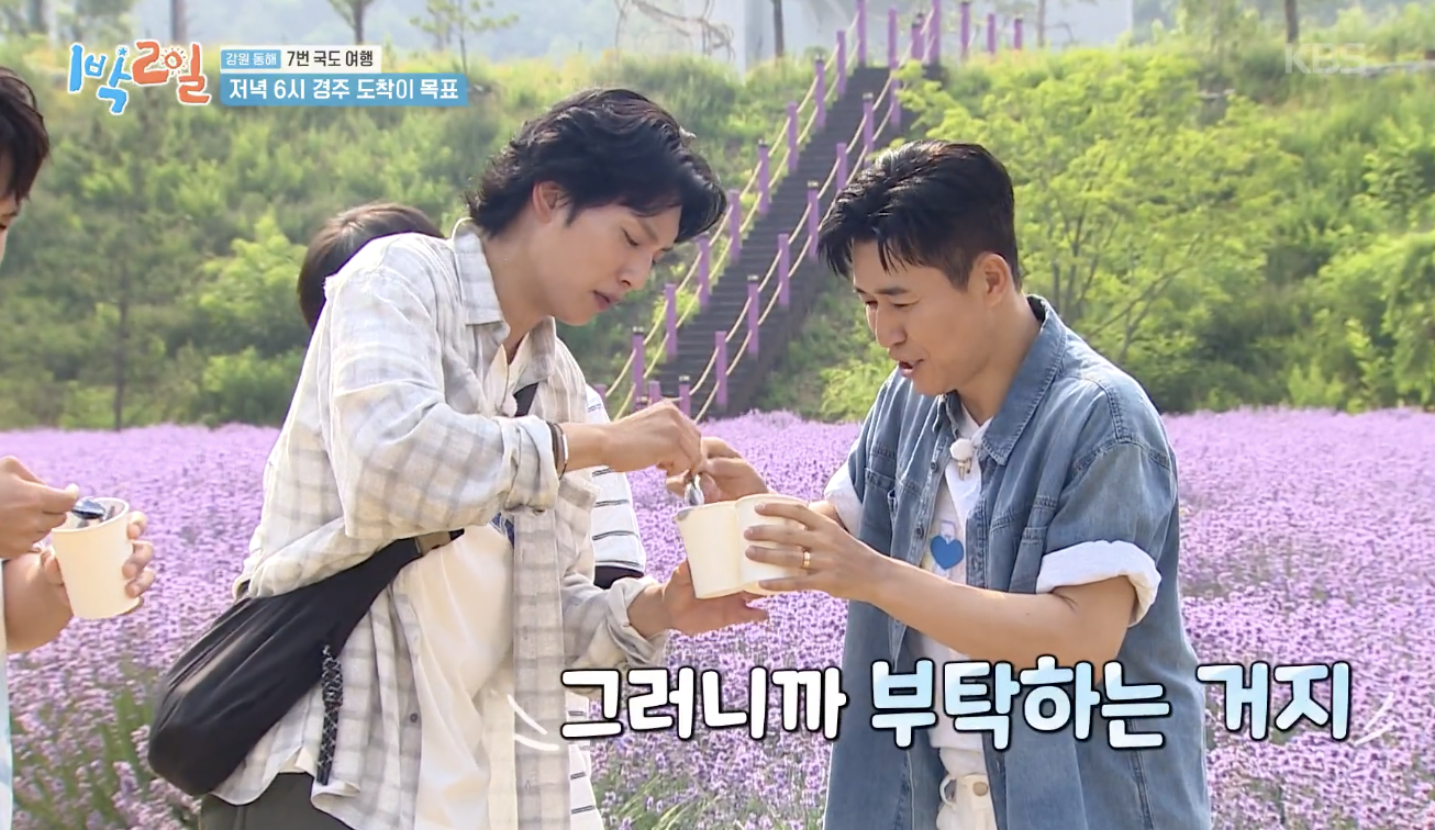 대체 텍스트