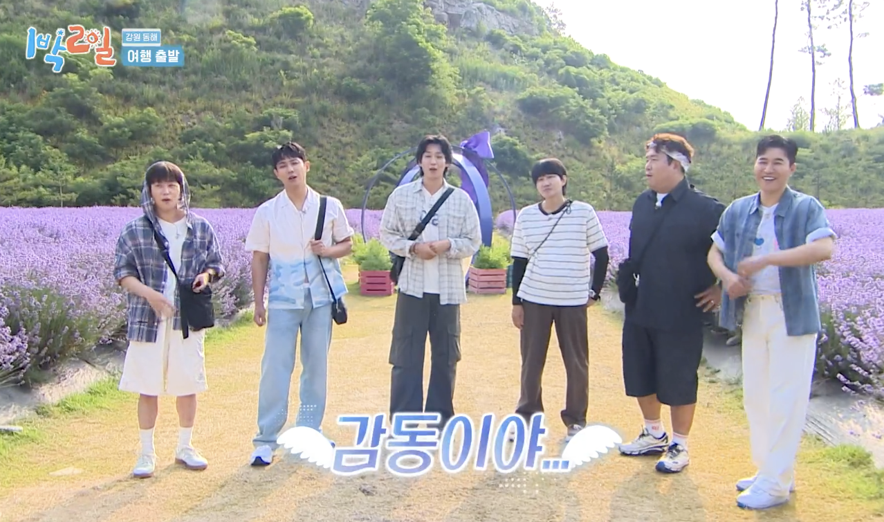 대체 텍스트
