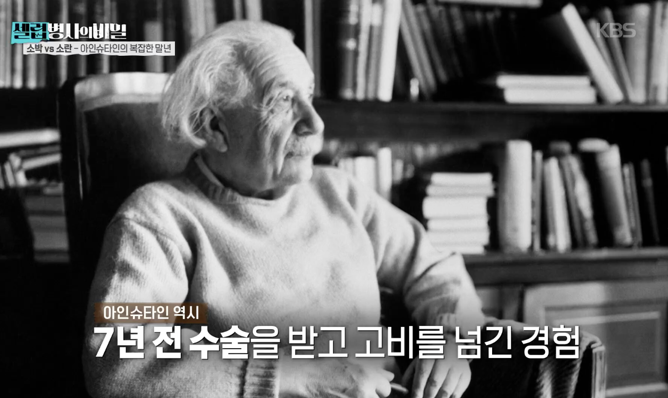 대체 텍스트